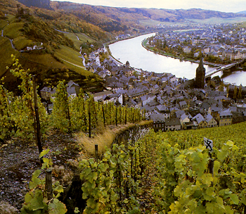 European vineyard and town